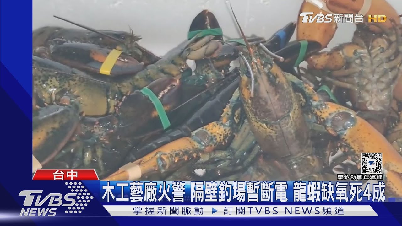 木工藝廠火警!隔壁釣場暫斷電 龍蝦缺氧死4成