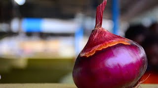 Government prohibits onion exports as prices treble in a month