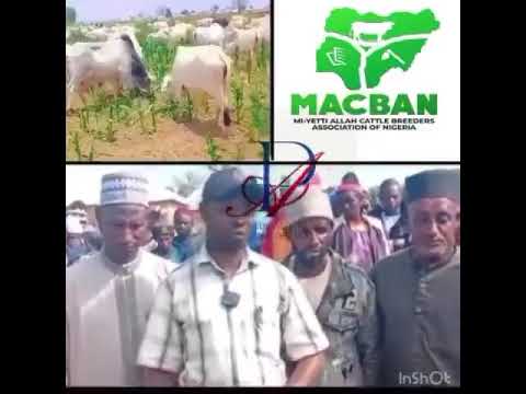 Fulani Residents in Plateau State React to Governor's Grazing Directive