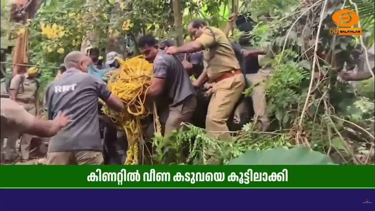 പത്തനംതിട്ട ചിറ്റാറിൽ കിണറ്റിൽ വീണ കടുവയെ മയക്കുവെ