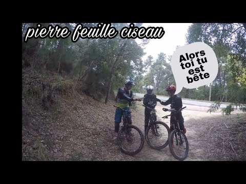 From teaser,downhill and freeride in mandelieu.