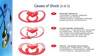 Shock ( Perfusion)