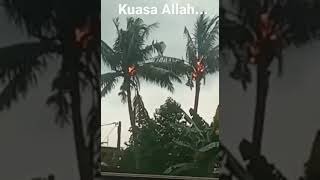 Download lagu Kuasa Allah 😯 Kelapa berbuah API !! Detik detik pohon kelapa disambar petir - #youtube #shorts mp3