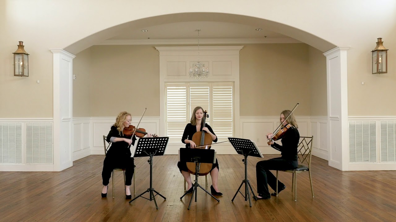 Promotional video thumbnail 1 for Sienna String Quartet