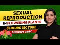 Sexual Reproduction In Flowering Plants Class 12 One Shot All Theory PYQs NEET 2024 Ritu Rattewal