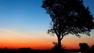 Antonio's Song Michael Franks