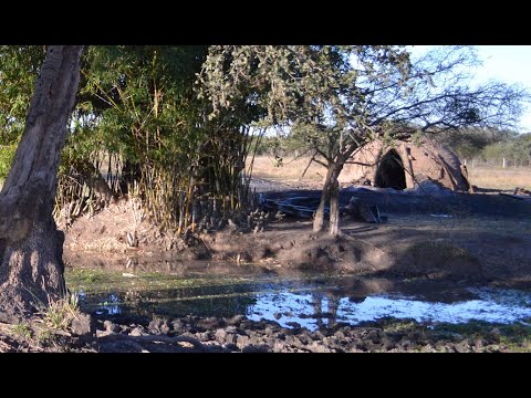 Tartagal (provincia de Santa Fe)