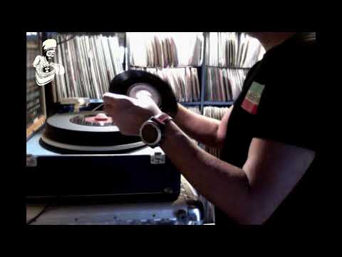 Survival Revival #4 By Stereotone