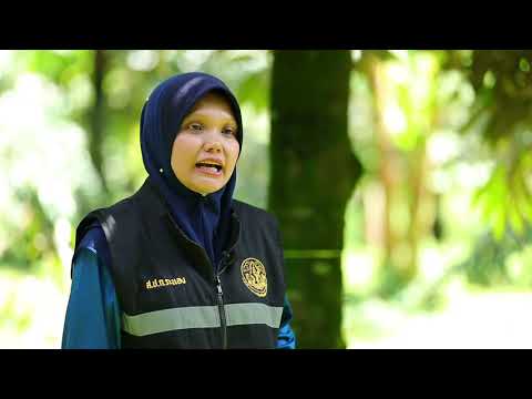 รักษ์ผืนดิน ถิ่น ส.ป.ก. ปี ๓ : (๓) ทุเรียนบ้านในวง สร้างรายได้มั่นคง ชุมชนยั่งยืน จ.ระนอง