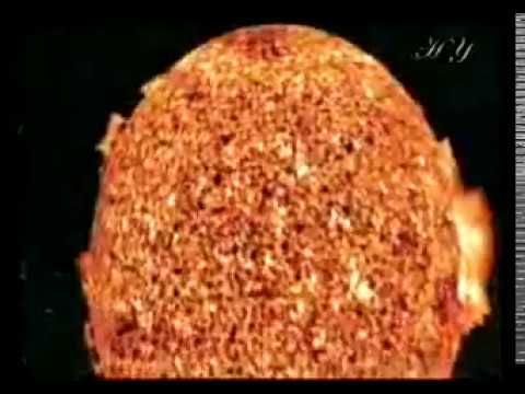 DIE WUNDER DES QURAN   2