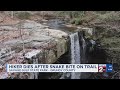 Hiker Dies After Snake Bite In TN State Park