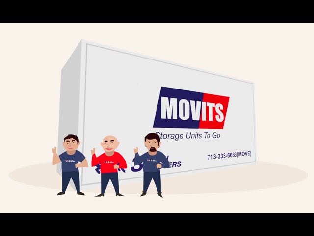 How MOVITS Work in 60 Seconds