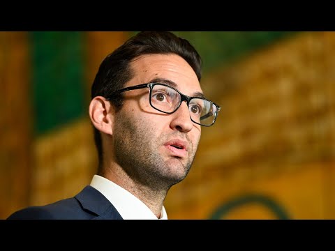 Jewish Labor MP Josh Burns praised for ‘calling out’ antisemitism