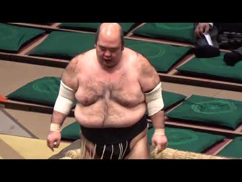 森麗 2026年1月場所 取組まとめ【大相撲令和8年1月場所】初場所 MORIURARA match summary [JAN 2026]