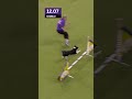 Is This The Fastest Dog Of All Time Foxsports Dogs Westminster Dogshow Allamerican