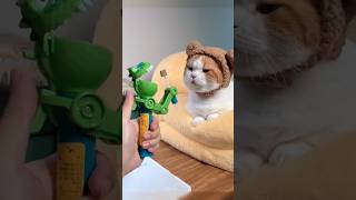 Download lagu ngprank kucing!Bikin Ngakak banget, kucing lucu #comedymemes #cat #kucinggemoy #kucinglucu mp3