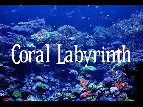SMW Custom Music - Coral Labyrinth (SPC Echoes 2)