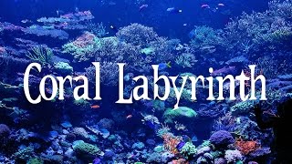 SMW Custom Music - Coral Labyrinth (SPC Echoes 2)