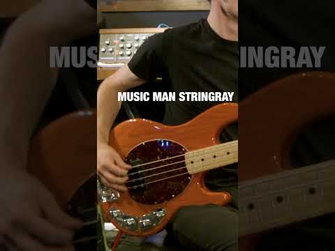 Music Man vs Sterling #bassguitar #bassist #bassplayer #audioengineer #musician #musicgear