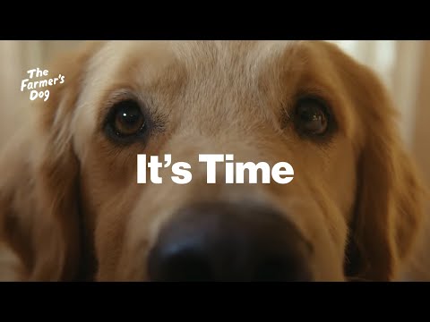 The Farmer's Dog — It's Time
