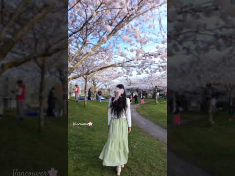 #spring #flowers #shortvideo #shorts #afghan #afghangirl