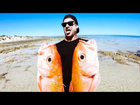 GIANT FISH IN A CLEAR WATER PARADISE Camp Fire Catch And Cook - Ep 121