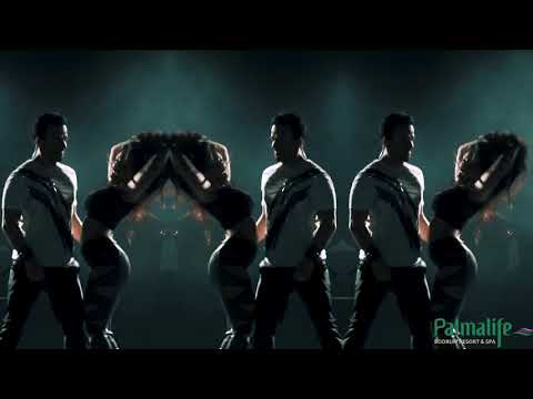 Luis Fonsi live presents by Swat Entertainment