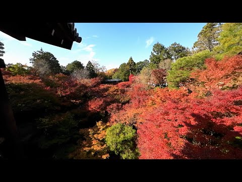 【Japan Walk】Tofuku-ji, Kyoto: Walk through Tofuku-ji Tsutenkyo.
