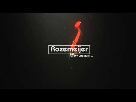 Виброхвост ROZEMEIJER Urban Sense Soft Paddle / 9.5cm - Fire Tiger / 3шт.