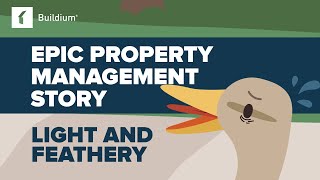 Light and Feathery: An Epic Property Management Story