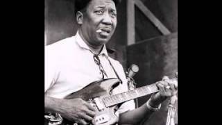 Muddy Waters - After Hours