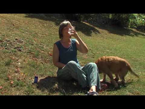 ODDAJA ZA ZDRAVJE   NOVEMBER 2017   DR  IZTOK OSTAN   MEGAHYDRATE