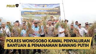 Download lagu WONOSOBO POLICE OVERSEE GARLIC AID DISTRIBUTION & PLANTING mp3