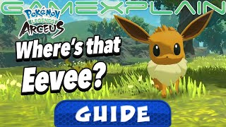 How to Find Eevee in Pokémon Legends Arceus (Guide & Walkthrough)