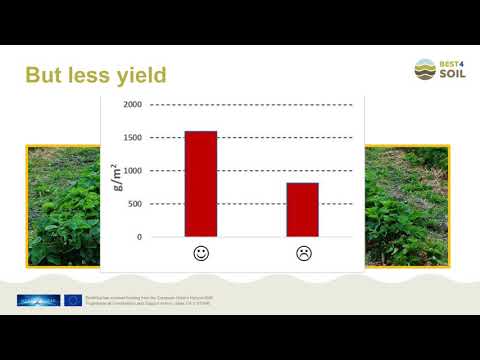 The invisible threat to crop production | Vincent Michel, phytopatologist, Agroscope (CH)