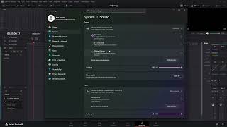 Davinci Resolve 20 Not Recording Audio. This fixed my problem