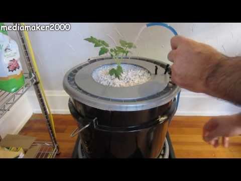 Single Dutch Bucket Hydroponic System - Easy DIY - Patio - Balcony - Winter Gardening
