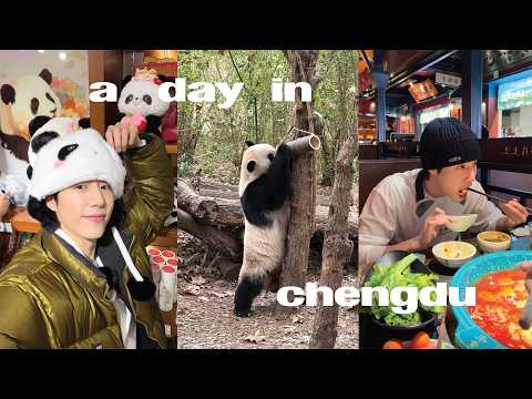 Chengdu in One Day: Pandas + Hot Pot 🐼🔥🥢🌶️
