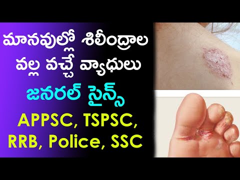 మానవుల్లో శిలీంద్రాల వల్ల వచ్చే వ్యాధులు | Diseases Caused by Fungi in Humans Telugu