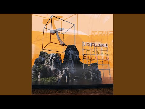 園芸 ペルシカリア、イタドリ アンプレキシカウレ