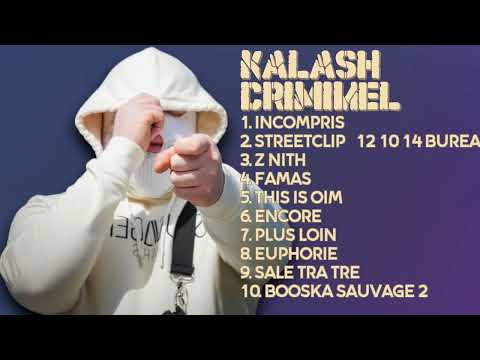 Kalash Criminel-Best music hits roundup roundup for 2024-Prime Tunes Mix-Calm
