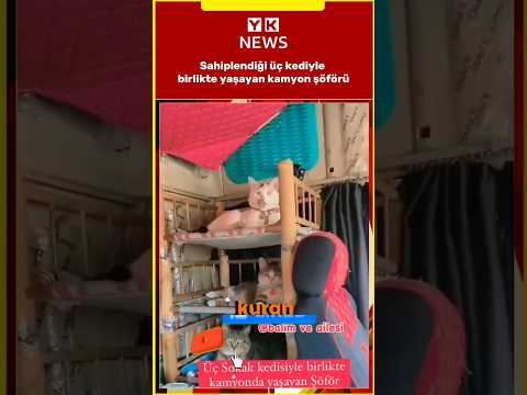 Sahiplendiği üç kediyle birlikte yaşayan kamyon şöförü