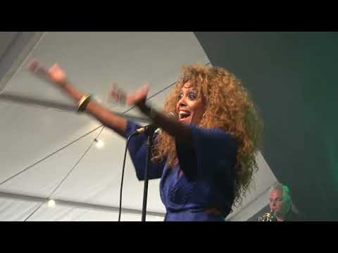 Bonita & The Blues Shacks feat. The No Blow No Show Horns (D), 12.07.24