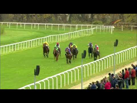 Dresden-Preis 22.11.17 2j