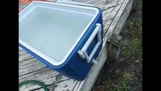 Cooler Drain Cap Quick Fix