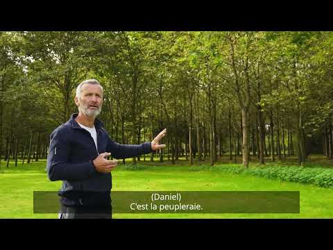 [La BO de nos communes : Moussé]