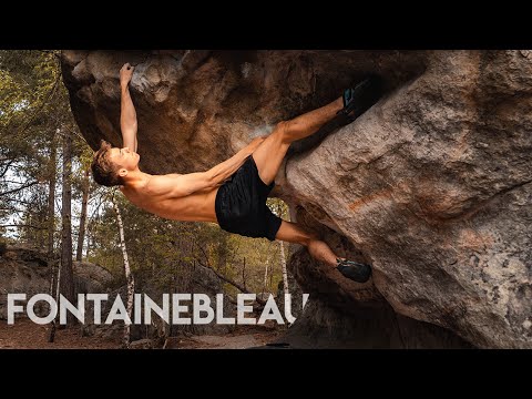 Fontainebleau Bouldern | cinematic travel sport video | COON Media | Pauline Waschbüsch