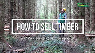 How to sell timber - a harvesting forester