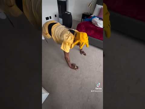 jamal 1 dunceman in london keeping it fit 🏋‍♂️#shorts #jamal #fullimiaent