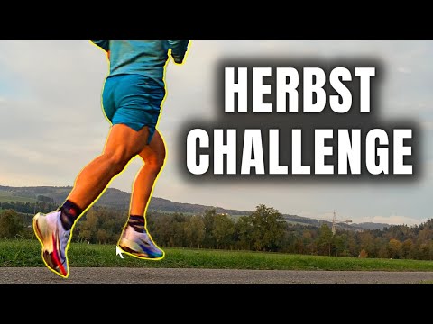 5km unter 20min Laufen - Der Plan zur Challenge